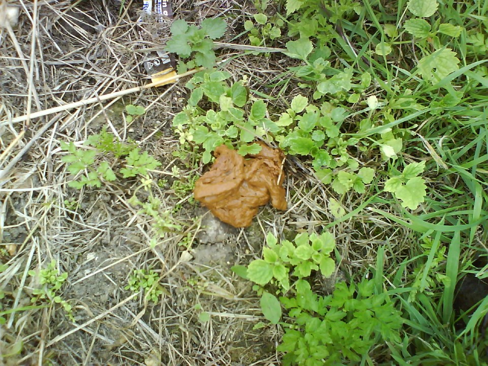 DSC01371.jpg